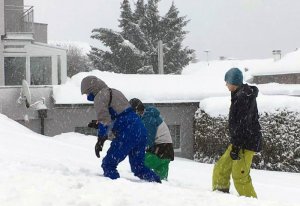 Lawinensuchgeraet-Sport-Matt-Pettneu-Skiverleih-Pettneu_02