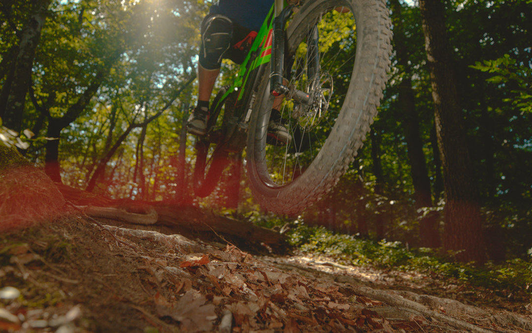 E-MTB Rijtechniekgids  🚴‍♀️🚴Deel 2