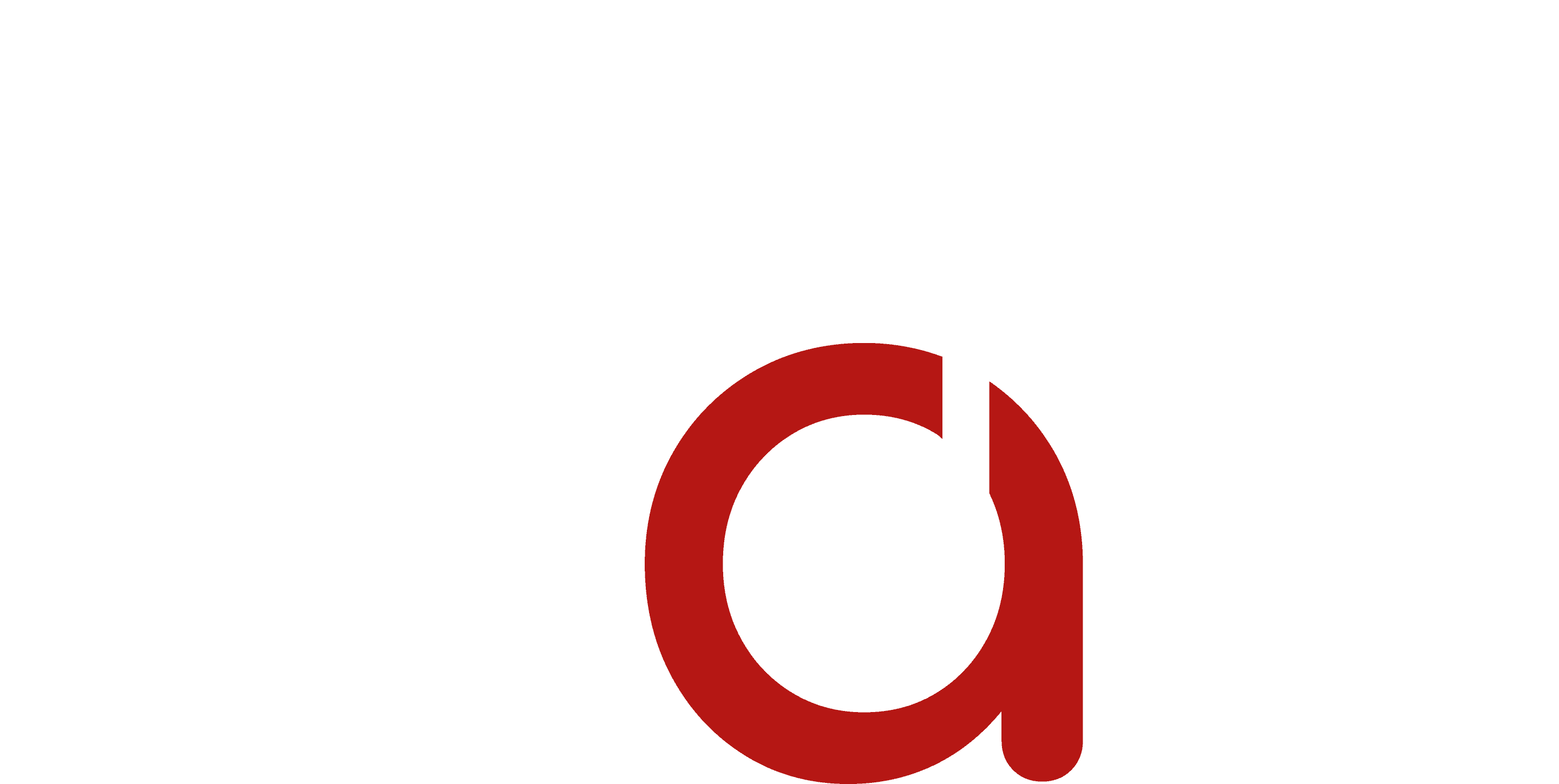 Logo Sport Matt Pettneu